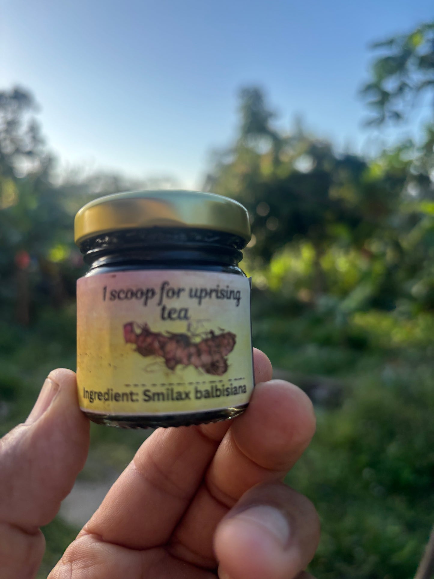 Jamaican Black Chaney Root Extract Glass Jar 30g - Concentrated Smilax Balbisiana Extract