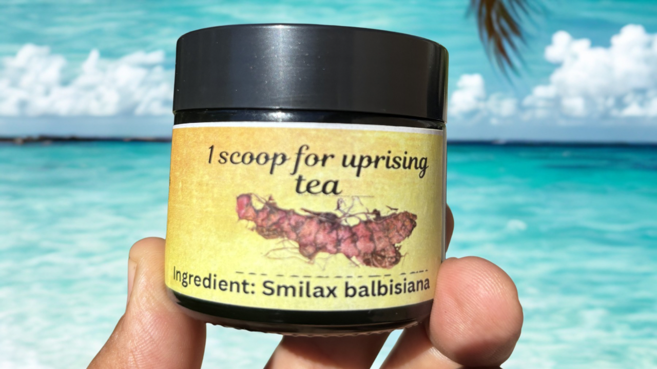 Jamaican Black Chaney Root Extract - High Potency Smilax Balbisiana Extract 60g in Amber Glass Jars